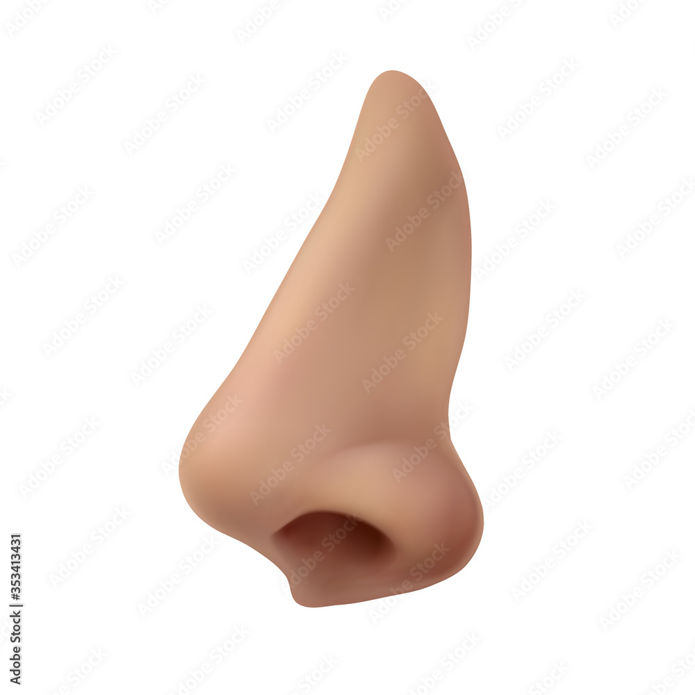 Fototapeta premium Human nose. Profile view. Vector illustration isolated on white background.