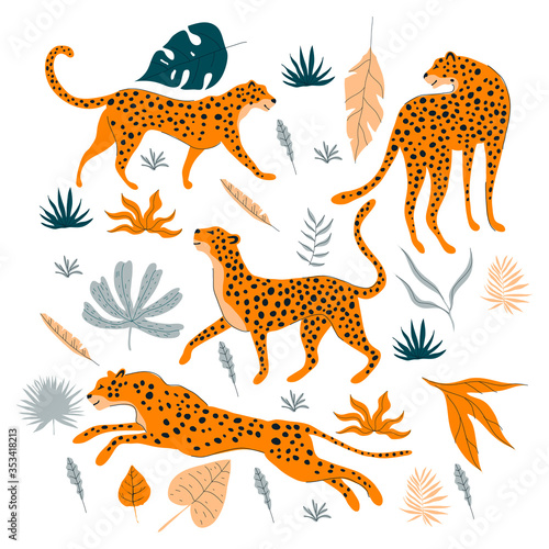 Leopard in Different Poses Jumping Walking Standing with Tropical Leaves Vector Set