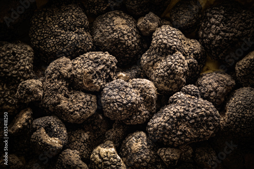 Tuber Aestivum Black truffles, Umbria, Italy