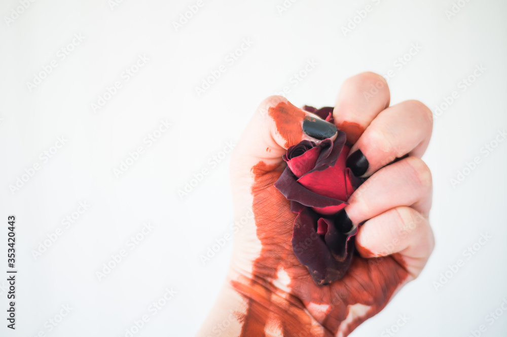 Red beautiful rose in a hand on which there is blood on a white background. Red beautiful rose in a hand on which there is blood on a white background.