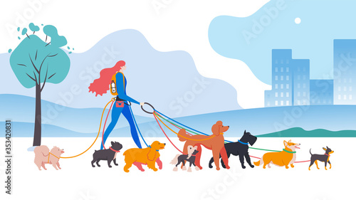Dogs and dog-walker in the city. Breeds: spitz, french bulldog, english cocker spaniel, chinese crested, royal poodle, mittelschnauzer, corgi, russian toy terrier.