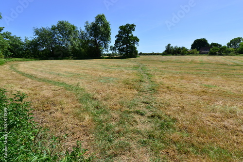 A farmers field with the grass cut in Horley, Surrey.