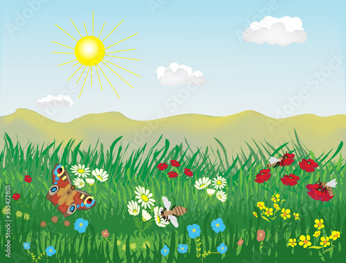 Spring and summer lanscape with meadow  grass  flowers  bees  butterfly  hills  sky  sun  clouds