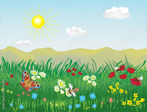 Spring and summer lanscape with meadow, grass, flowers, bees, butterfly, hills, sky, sun, clouds