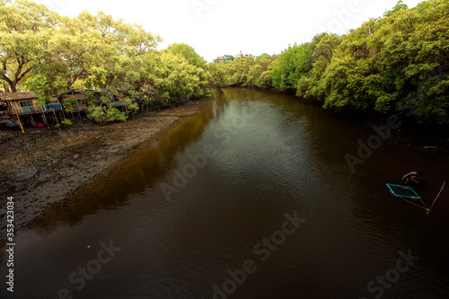 Nature wallpapers of trees  mangrove riverside  with blurred reflection  the atmosphere with the wind blowing through the cool fresh air while traveling