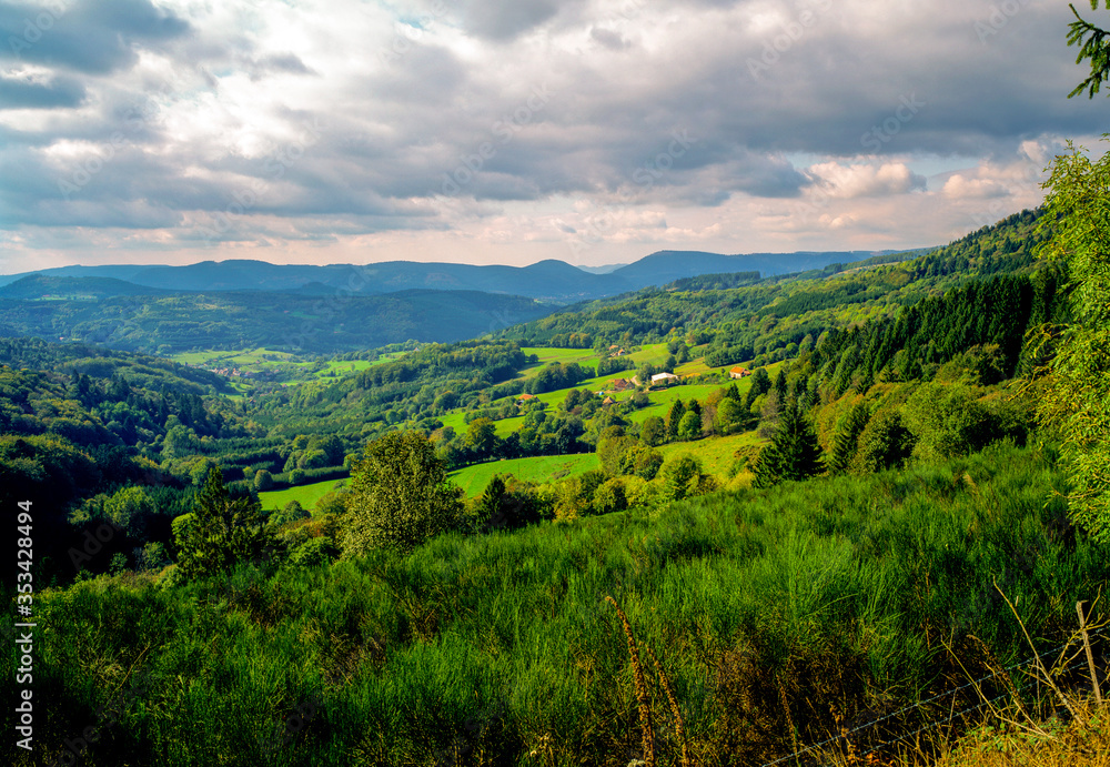 Paysage des montagnes vosgiennes en été en Alsace en France