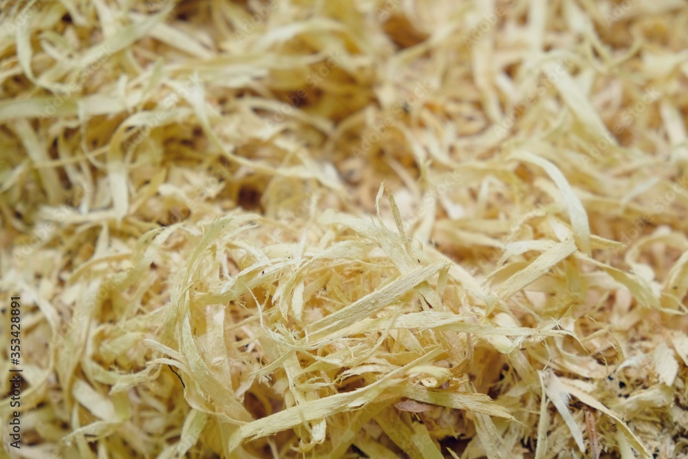 Closeup of the wood sawdust background. Closeup of the wood sawdust background.