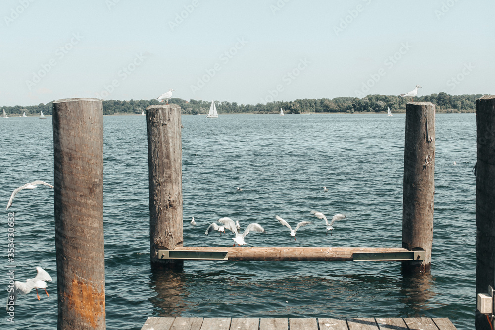 Fototapeta premium lake