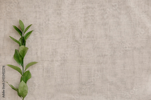 Branch with leaves on a background of beige linen fabric, top view, closeup, background, flat lay. Background with copy space for natural and minimal products. Soft and calm concept