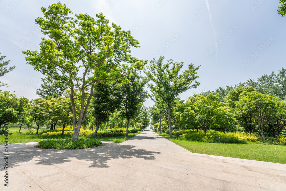 Empty road and green park