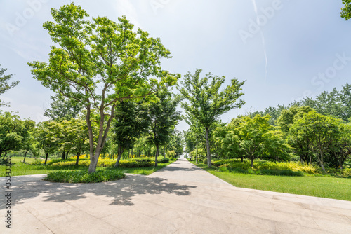 Obraz na płótnie Empty road and green park w salonie