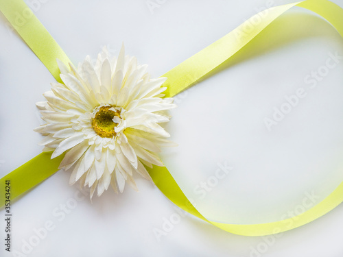 White daisy flower on isolate background with green ribbon. Greeting card concept idea in valentine day