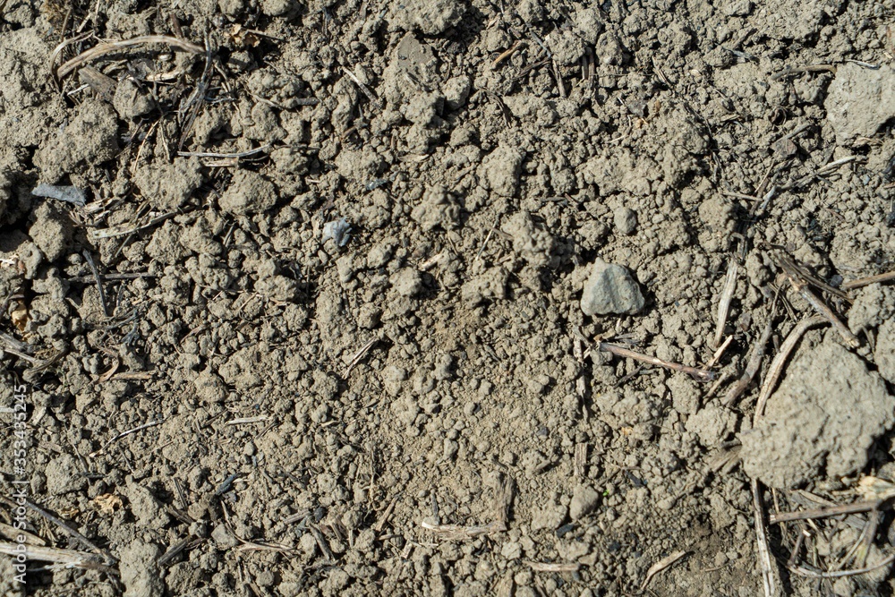 Dirty loose soil texture background for wallpaper and design. Dirty loose soil texture background for wallpaper and design.