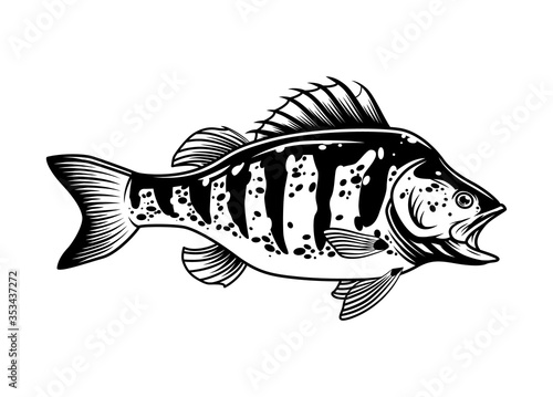 Largemouth bass vintage concept