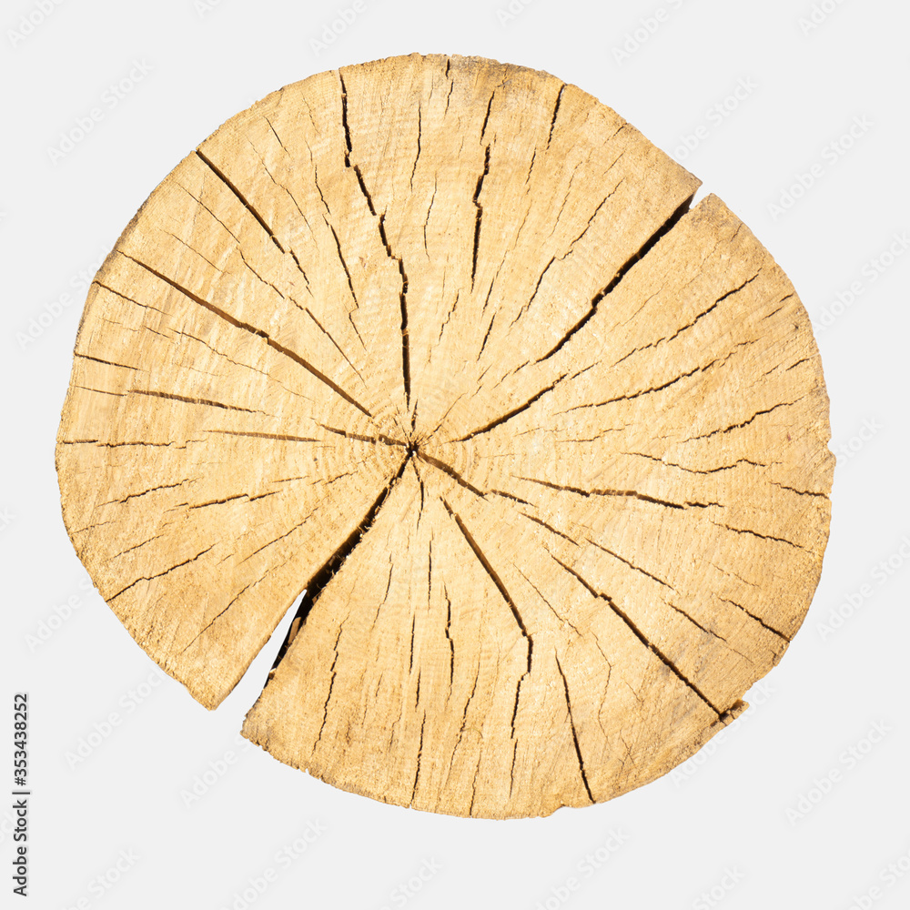 round cracked wood isolated