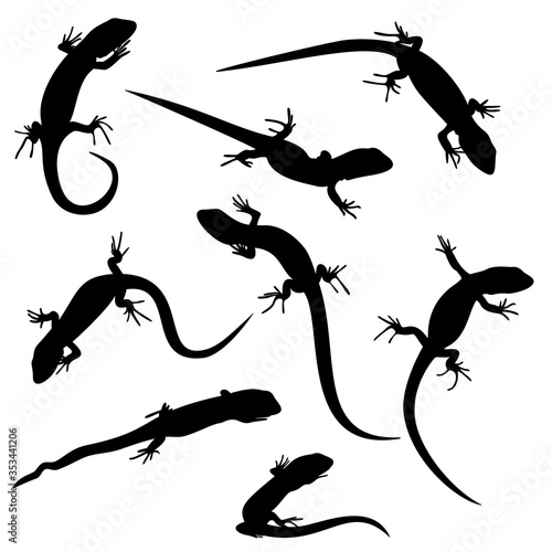 The black silhouettes of the young lizards are isolated on white background.