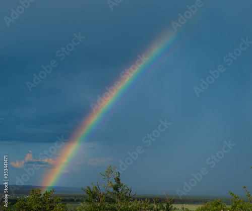 spring real natural rainbow after rain isolated on a blue sky