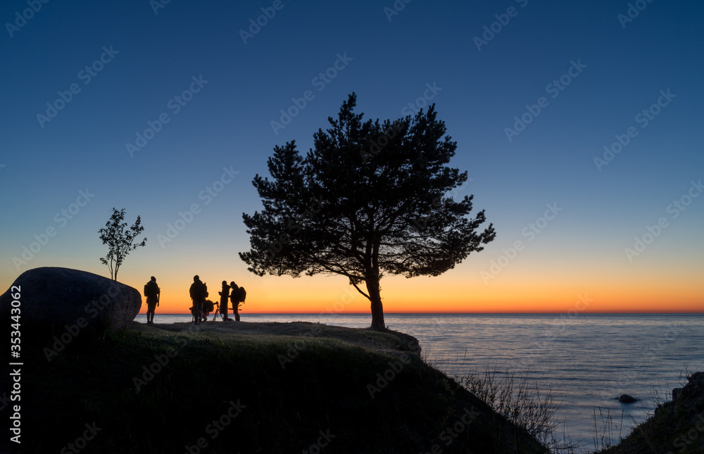 Late evening at the sea. Orange sundown stripe at the horizon. Dark silhouette of single hardwood tree and few people in front of dawning skyline. Calm water of Finnish Gulf. Peaceful twilight sky.