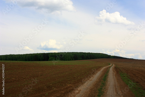 Country road in the field