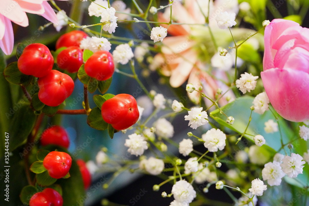 春の花 赤やピンクの花 白い花や赤い実 Stock Photo Adobe Stock