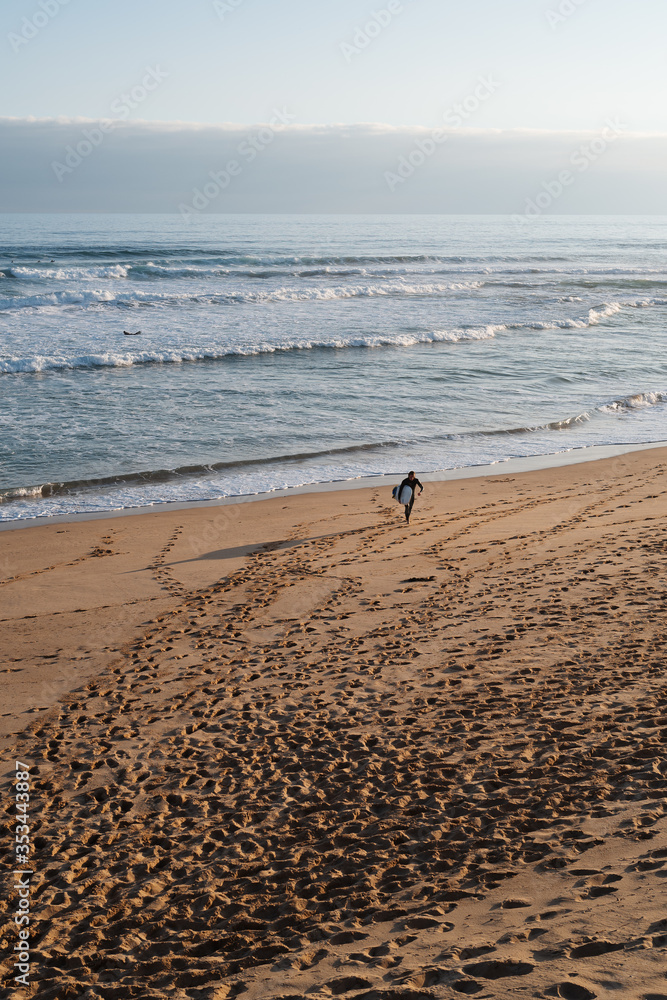 Surfer coming out of the ocean at sunset on Australian beach Surfer coming out of the ocean at sunset on Australian beach