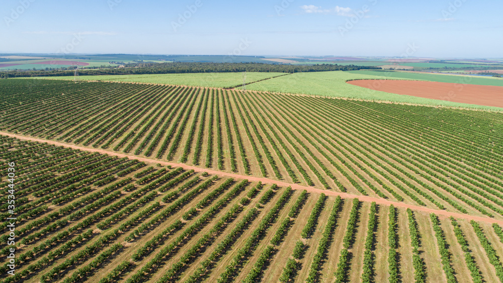 Aerial top view from flying drone of a Brazilian countryside land
