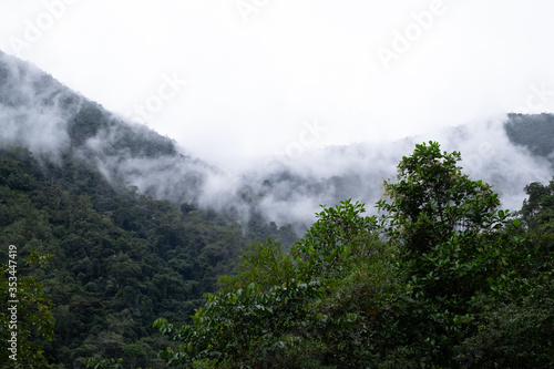 Podocarpus National Park, Ecuador, view of rainforest mountains in the mist