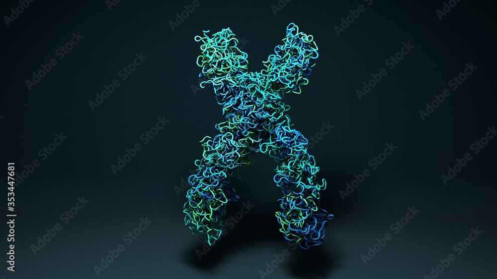 Chromosomes, X chromosomes in the cell Chromosomes, X chromosomes in the cell