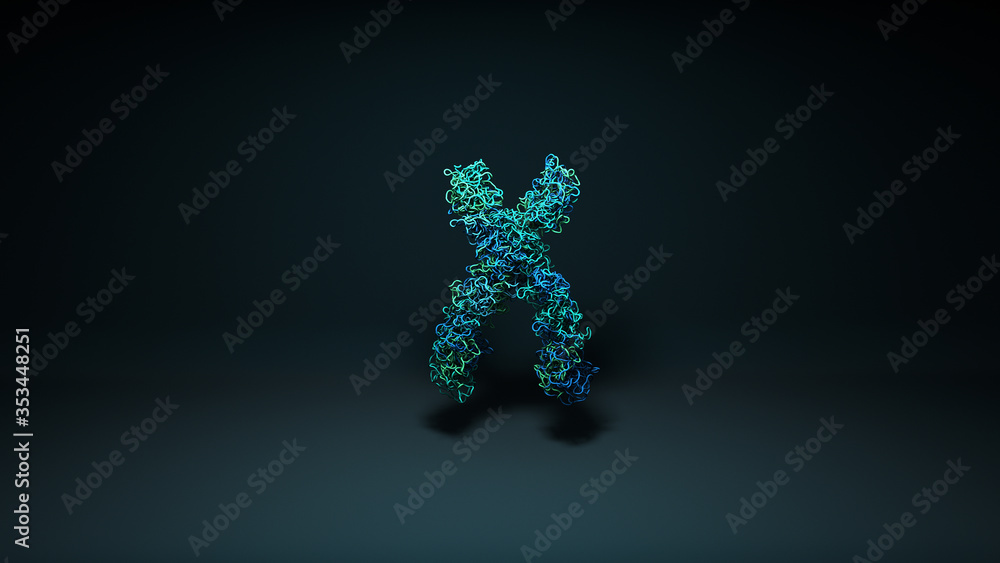 Chromosomes, X chromosomes in the cell Chromosomes, X chromosomes in the cell