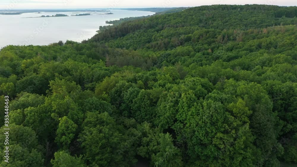 Flying over green dense forest at sunrise. Aerial shot, 4K Flying over green dense forest at sunrise. Aerial shot, 4K