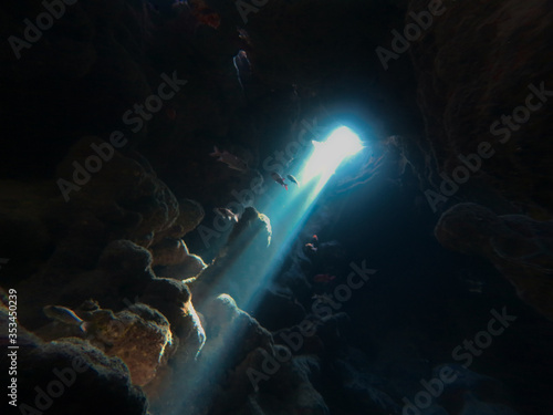Fototapeta Naklejka Na Ścianę i Meble -  Underwater photo of sunlight inside a cave. From a scuba dive in the Red Sea - Egypt. 