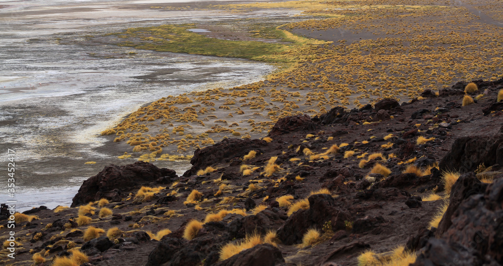Obraz premium rocky landscape in a red lagoon Bolivia
