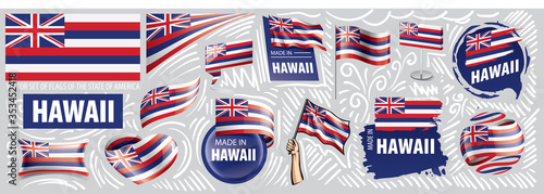 Vector set of flags of the American state of Hawaii in different designs