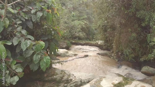 stream in the jungle drone view