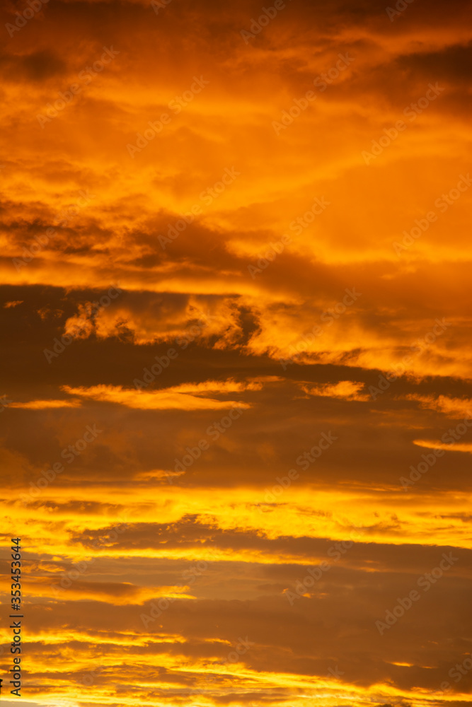 Fototapeta premium Variety of clouds