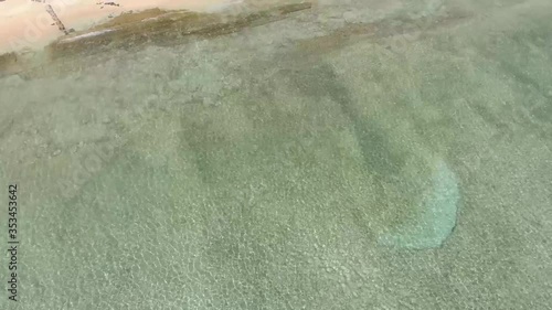 Cenital view of a women swimming in the sea