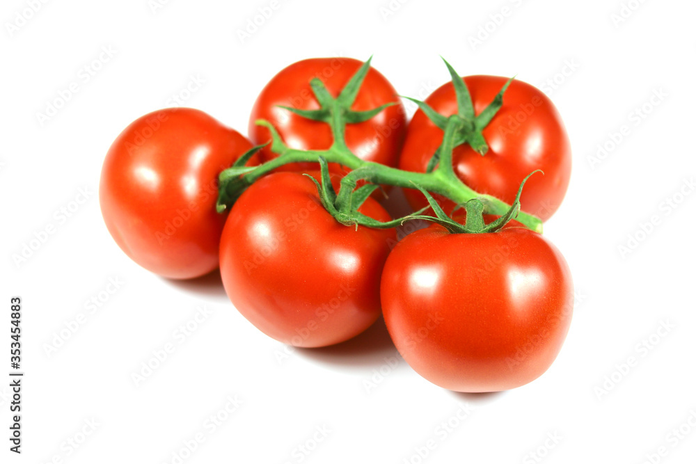 tomate en grappe sur un fond blanc tomate en grappe sur un fond blanc