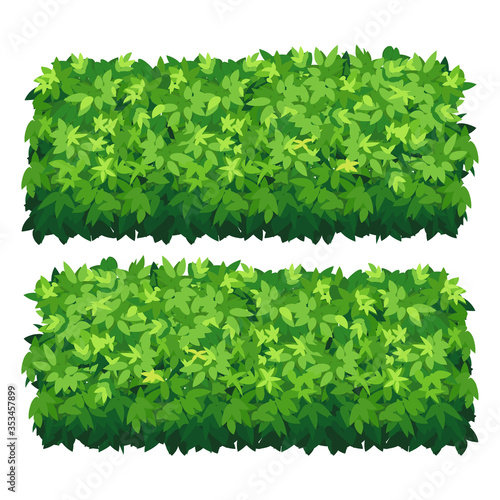 Vector garden bush isolated shrub hedge. Green bush cartoon grass shrubbery plant.