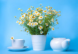 A bouquet of field daisies and a cup of chamomile tea on a blue background.