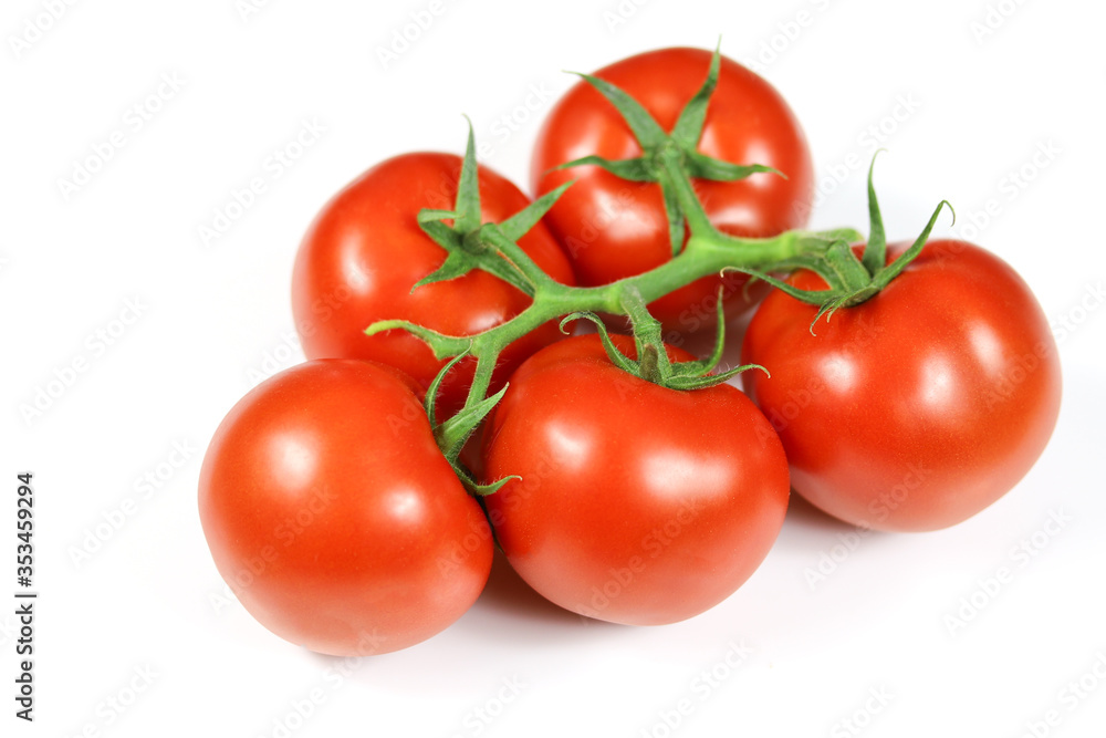 tomate en grappe sur un fond blanc