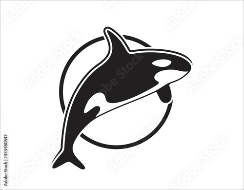 Jumping black white killer whale can be used as logo