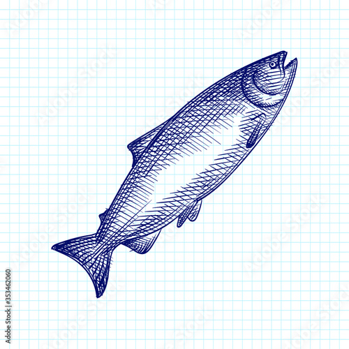 Hand-drawn sketch of sea food. Fish food. Sturgeon, Beluga, salmon, vobla, zander, herring, cod, perch, saury, sardine, flounder, mackerel, horse mackerel, anchovy, tuna