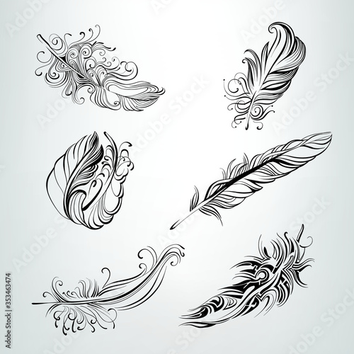Set of feathers in an ornament