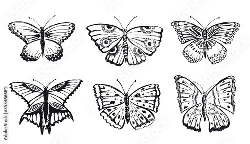 Butterfly hand drawn vector illustrations