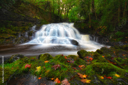 herbstlicher moosiger wald mit bach