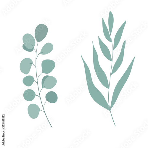 Eucalyptus greenery, natural leaves & branches designer art tropical elements. Hand drawn in watercolor style. Vector decorative beautiful elegant illustration.