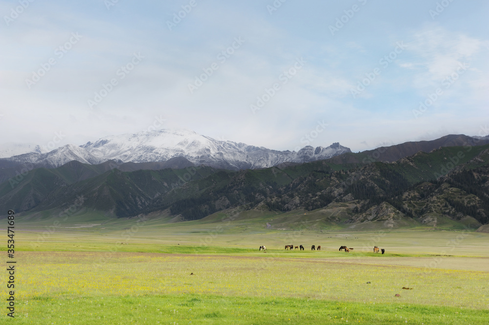 Grazing Land of Sayram Lake, Bortala Prefecture, Xinjiang Uyghur Autonomous Region of China in October 2016 Grazing Land of Sayram Lake, Bortala Prefecture, Xinjiang Uyghur Autonomous Region of China in October 2016