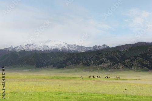 Grazing Land of Sayram Lake, Bortala Prefecture, Xinjiang Uyghur Autonomous Region of China in October 2016 photo