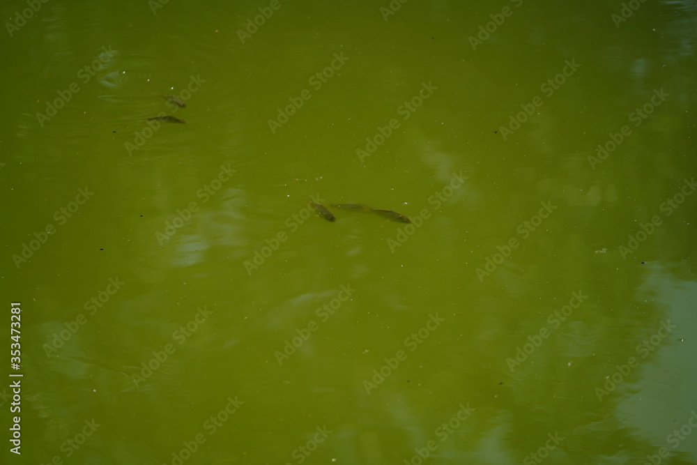 Quinta de Pesca do Marqês de Pombal Quinta de Pesca do Marqês de Pombal