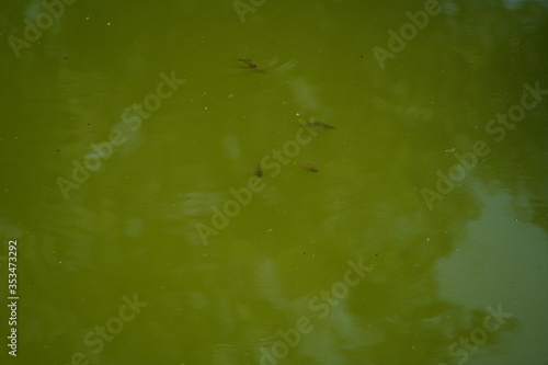 Quinta de Pesca do Marqês de Pombal